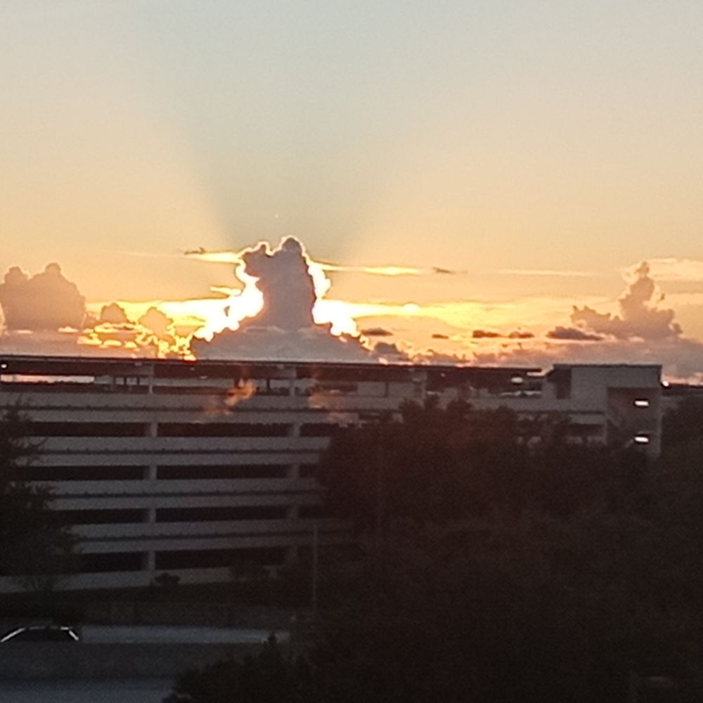 Green Dragon Cannabis - High times at Saint Pete beach - Head Shops Near Me - Crystal River, Florida Green Dragon Cannabis - High times at Saint Pete beach - Head Shops Near Me - Crystal River, Florida