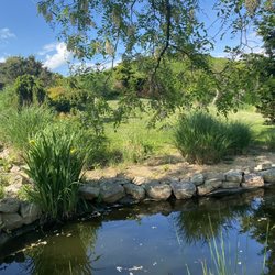 Fox Hill Bed & Breakfast Suites - Pond in the front yard