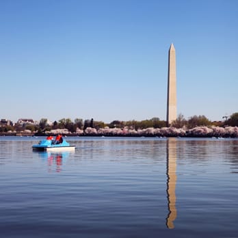 Tidal Basin Paddle Boats - Beautiful - Boating Near Me - Washington, DC, District of Columbia Tidal Basin Paddle Boats - Beautiful - Boating Near Me - Washington, DC, District of Columbia
