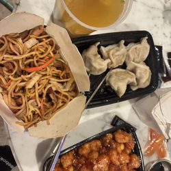 Bo Bo Kitchen II - Pork Lo' Mein, Pork steamed dumplings, wonton soup & general tso.