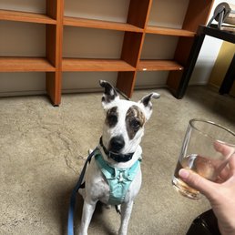 Dog friendly inside!