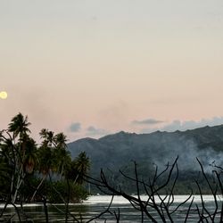Tahiti.com - Moon over the lagoon in Le Taha'a