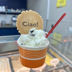 Spurs Gelato - Stracciatella di menta