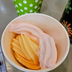 JanYo Frozen Yogurt