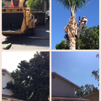 Aaa Tree Care - Triple Tree Duty! - Landscaping Near Me Aaa Tree Care - Triple Tree Duty! - Landscaping Near Me
