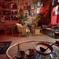 Four Shells Kava Room & Shop - Kava and interior
