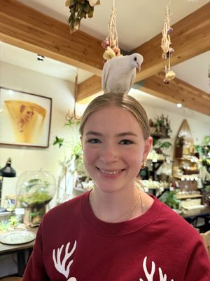 Artemisia Collage with Nature by null