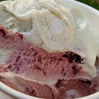 Rooster's Ice Cream Bar - Avocado honey and cherry chocolate double scoop - Ice Cream & Frozen Yogurt Near Me - Vancouver, British Columbia Rooster's Ice Cream Bar - Avocado honey and cherry chocolate double scoop - Ice Cream & Frozen Yogurt Near Me - Vancouver, British Columbia