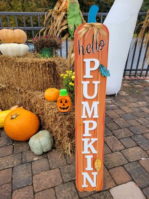 Smoky Mountain Alpine Coaster by null