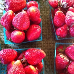 VA Mather Farmers Market - Look what I got at the market yesterday! Yummy, sweet and fresh.