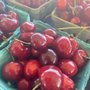 Fruit on the Loop