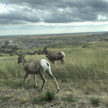 Badlands National Park - Parks Near Me - Interior, South Dakota Badlands National Park - Parks Near Me - Interior, South Dakota