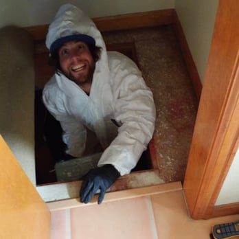 Helpers Disaster Restoration - Anthony, another inspection for mold.... - Damage Restoration Near Me - Basalt, Colorado Helpers Disaster Restoration - Anthony, another inspection for mold.... - Damage Restoration Near Me - Basalt, Colorado