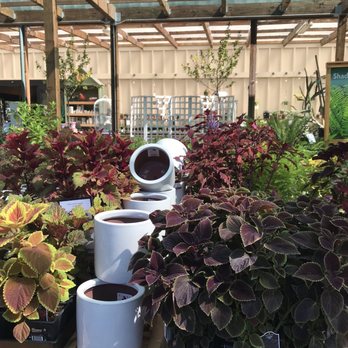 Sloat Garden Center - Nurseries & Gardening Near Me - Concord, California Sloat Garden Center - Nurseries & Gardening Near Me - Concord, California