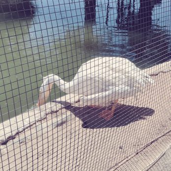 CALM Zoo - Zoos Near Me - Bakersfield, California