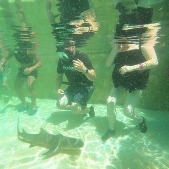 Coral World Ocean Park - Aquariums Near Me - St Thomas, Virgin Islands
