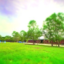 Treasure Coast Stables - TCS is the premier show jumping equestrian center of the Treasure Coast. We offer full service boarding and also have a full lesson program.