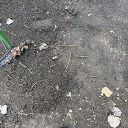 Qualified Abatement Services - Asbestos in bedded into the dirt