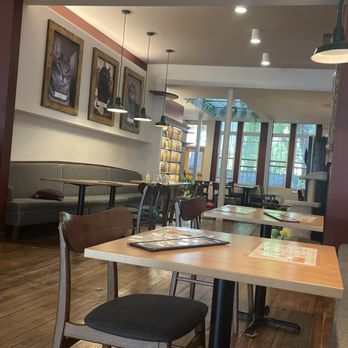Café Chat l'Heureux - Welcoming spot - Vegetarian Near Me - Montreal, Quebec Café Chat l'Heureux - Welcoming spot - Vegetarian Near Me - Montreal, Quebec