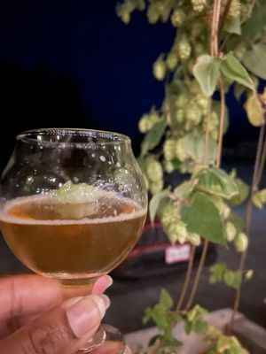 Big aLICe Brewing Finger Lakes by null