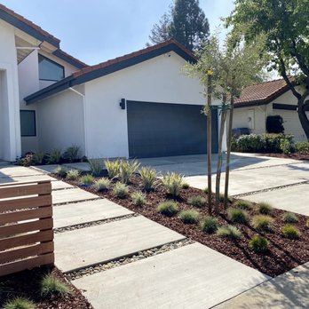 Nursery Beautiful Plants - Striped lily, blue fescue, olive tree, society garlic. - Nurseries & Gardening Near Me - San Martin, California Nursery Beautiful Plants - Striped lily, blue fescue, olive tree, society garlic. - Nurseries & Gardening Near Me - San Martin, California