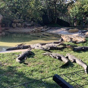 Gatorland - Zoos Near Me - Orlando, Florida