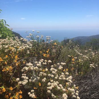 Los Leones Canyon - Views - Hiking Near Me - Pacific Palisades, California Los Leones Canyon - Views - Hiking Near Me - Pacific Palisades, California