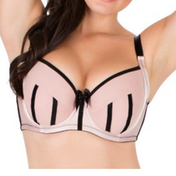 Unique Bra Boutique - Parfait's Charlotte Padded Bra             Available in 28-40D-K