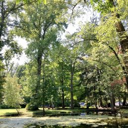 Pond View, from an Adirondack chair, out back. Pond View, from an Adirondack chair, out back.