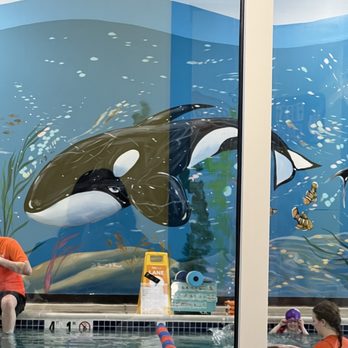 Goldfish Swim School - Gaithersburg - artwork inside of the pool area - Swimming Lessons/Schools Near Me - Gaithersburg, Maryland