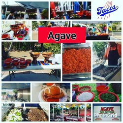 Agave