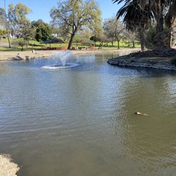 Murry Park - Pond Area with Fountain, Ducks and Geese