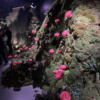 Genesis House - Special exhibit - Korean Near Me - New York, New York