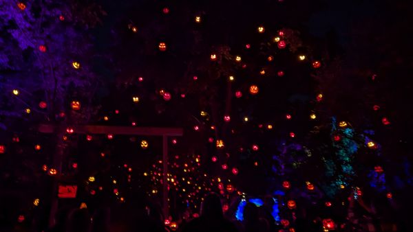 Roger Williams Park Zoo by null