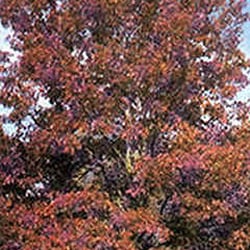 Changing Seasons Nursery