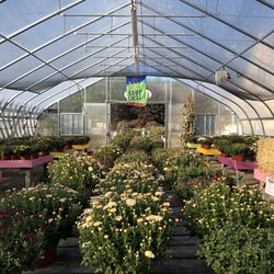 DiRoma Home and Garden Center