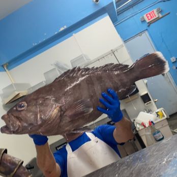 ◇Fish Market◇２２×２０×１５◇ ◇ THE FISH MARKET RESTAURANT - Updated December 2025 - 723 Photos