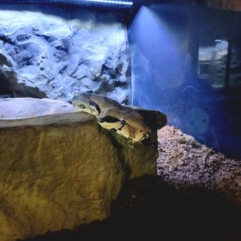 Wildlife Learning Center - Zoos Near Me - Sylmar, California