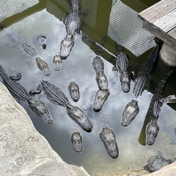 Gator Golf - Mini Golf Near Me - Orlando, Florida
