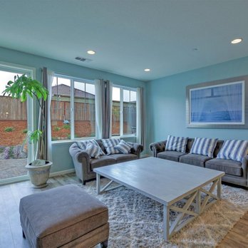 Tribe of 4 Paws - Family Room Design - Interior Design Near Me Tribe of 4 Paws - Family Room Design - Interior Design Near Me