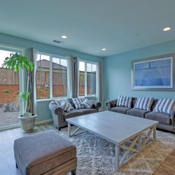 Tribe of 4 Paws - Family Room Design