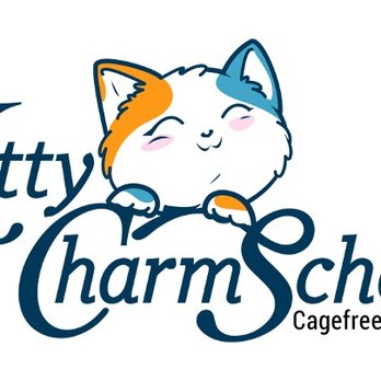 Kitty Charm School - Pet Boarding Near Me - Mill Valley, California Kitty Charm School - Pet Boarding Near Me - Mill Valley, California