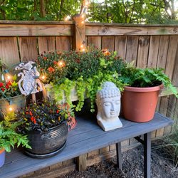 American Plant - Autumn Ivy, Decorative peppers, & mums. Look how cute my backyard table turned out!