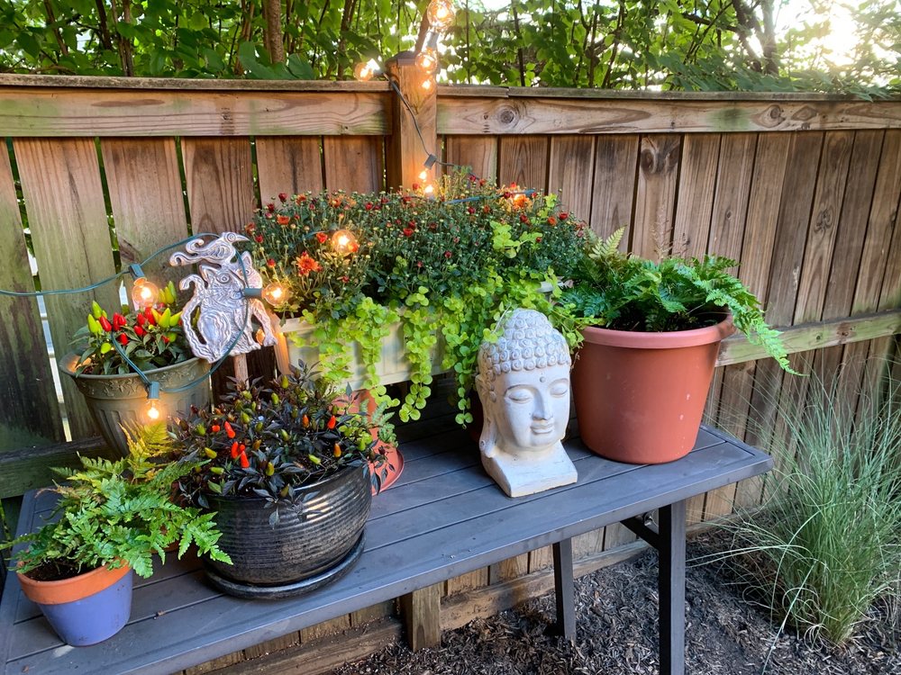 AMERICAN PLANT Updated October 2024 22 Photos & 49 Reviews 5258