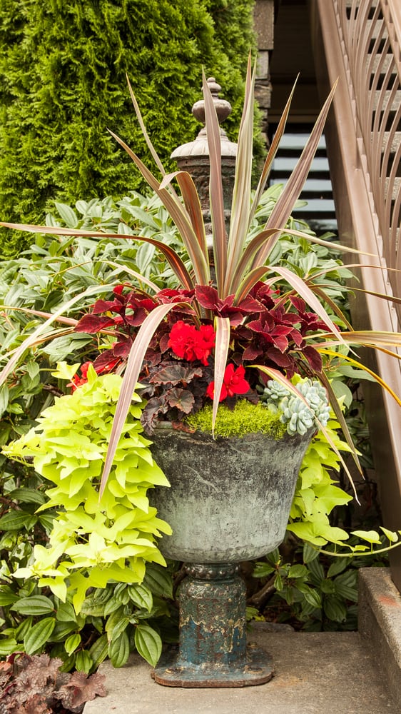 ESSENTIAL GARDENERS 23 Reviews Seattle, Washington Landscaping Yelp