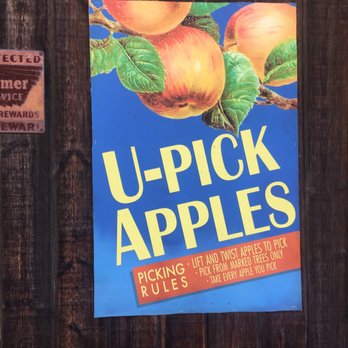 Riley's Farm - Small apple orchards on site, follow the rules . - Fruits & Veggies Near Me - Oak Glen, California Riley's Farm - Small apple orchards on site, follow the rules . - Fruits & Veggies Near Me - Oak Glen, California