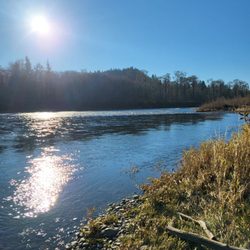 Olympic National - Quillayute River