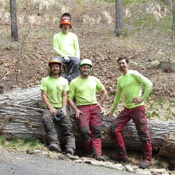Royce's Tree Service - Tree Services Near Me