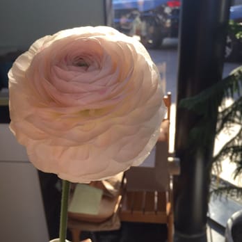 Take Heart - Ranunculus. - Cards & Stationery Near Me - Austin, Texas