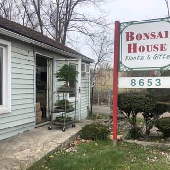 Bonsai House - Nurseries & Gardening Near Me - Madison Heights, Michigan Bonsai House - Nurseries & Gardening Near Me - Madison Heights, Michigan